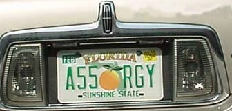 Assorgy License Plate