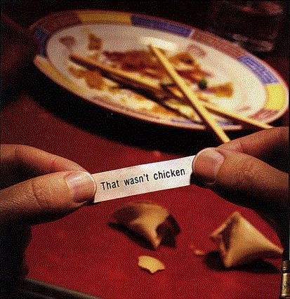 fortune cookie